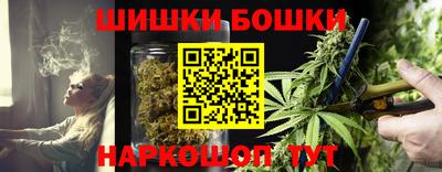прущие грибы Лесосибирск
