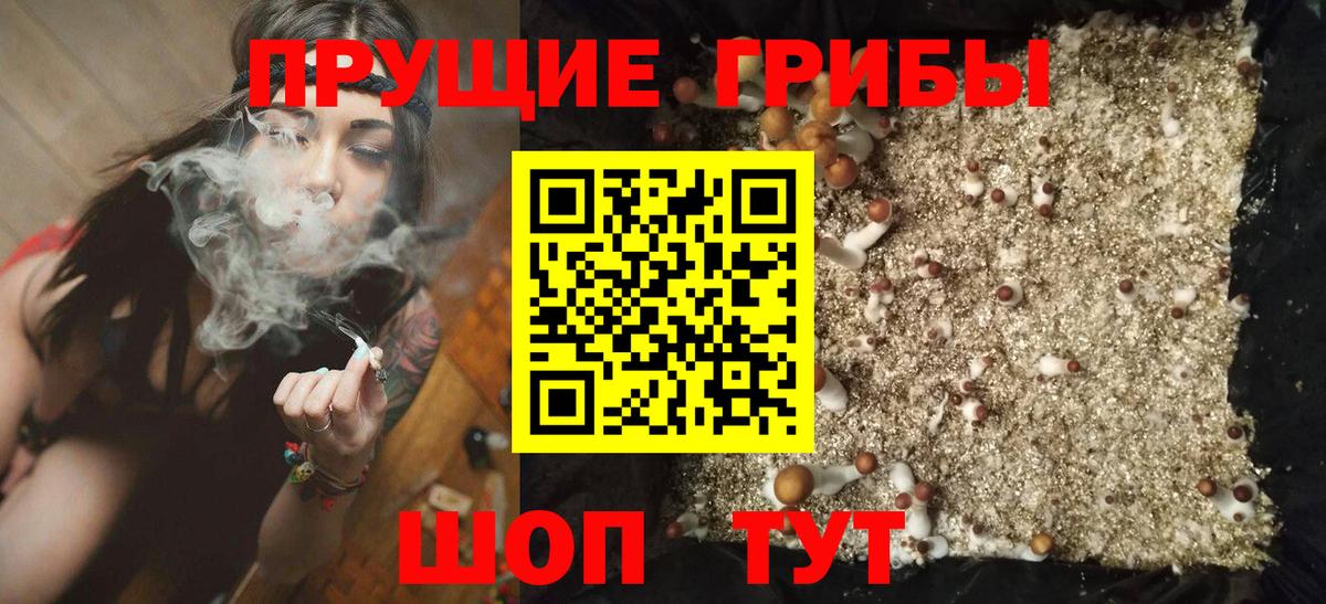 купить   Галлюциногенные грибы прущие грибы  Вход с VPN  Черногорск 